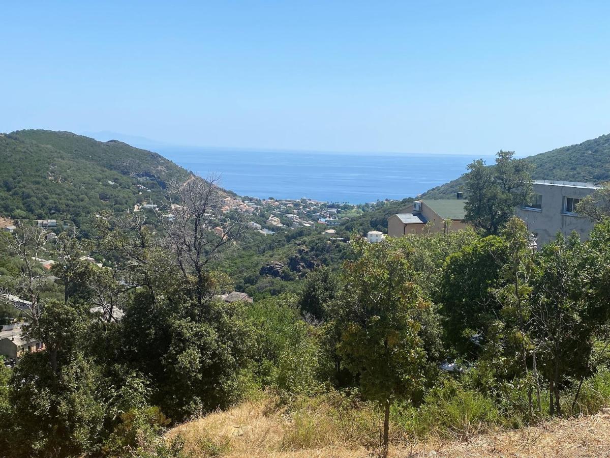 U Cavallu - Luxe Entre Mer Et Montagne Santa-Maria-di-Lota Екстер'єр фото